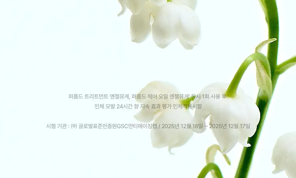 [단독기획/미니증정] 아도르 퍼퓸 헤어 오일 80ml 기획 5종 택1 상세페이지 13